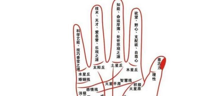 手掌的纹路怎么看<strong>手相</strong> 手掌的纹路怎么看<strong>手相</strong>男
