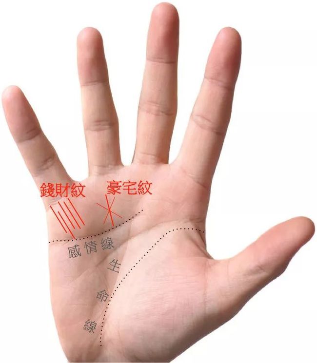 <strong>手相</strong>感情线分叉,<strong>手相</strong>看感情线怎么看