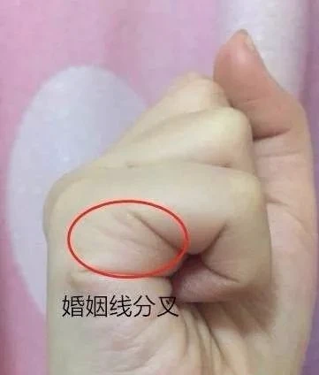 <strong>手相</strong>感情线分叉,<strong>手相</strong>看感情线怎么看