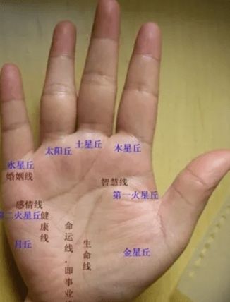 富贵的<strong>手相</strong>是怎样的 最富贵的12种<strong>手相</strong>特征图解大全