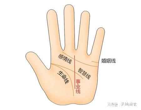 <strong>手相</strong>三条线相交 <strong>手相</strong>算命图解大全三条线都分开