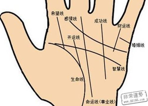 <strong>手相</strong>三条线相交 <strong>手相</strong>算命图解大全三条线都分开