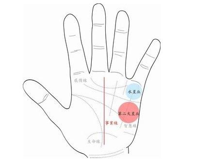 没有事业线的<strong>手相</strong> <strong>手相</strong>没有事业线代表什么