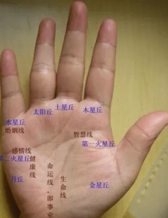 看<strong>手相</strong>左手还是右手, 看<strong>手相</strong>是男左女右吗?