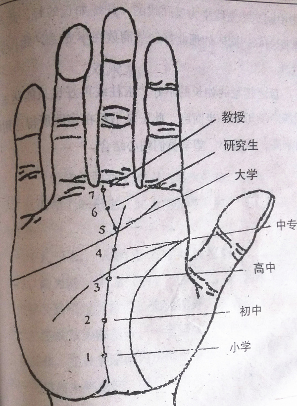 <strong>手相</strong>较乱 断掌<strong>手相</strong>图解