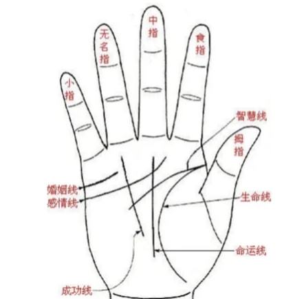 不要相信<strong>手相</strong> 什么是<strong>手相</strong>