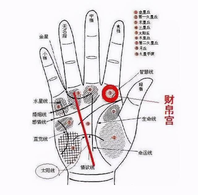 不要相信<strong>手相</strong> 什么是<strong>手相</strong>