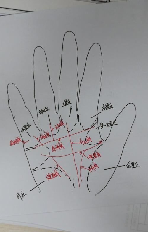 <strong>手相</strong>脑纹分段 <strong>手相</strong>脑纹在哪