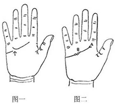 <strong>手相</strong>脑纹分段 <strong>手相</strong>脑纹在哪