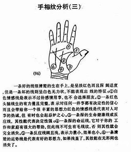 <strong>手相</strong>脑纹分段 <strong>手相</strong>脑纹在哪