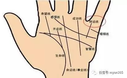 如何从<strong>手相</strong>算命财运 <strong>手相</strong>算命