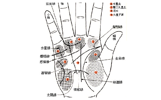 看看女<strong>手相</strong>算命图解 <strong>手相</strong>算命