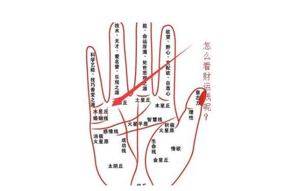 <strong>手相</strong>图解大全中关于财运线的解析，从<strong>手相</strong>中的财运线看一个人命运