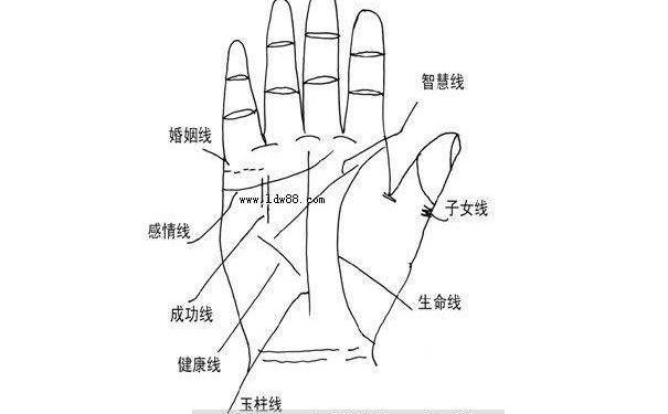 <strong>手相</strong>图解大全中关于财运线的解析，从<strong>手相</strong>中的财运线看一个人命运