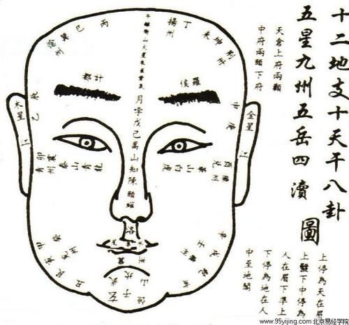 如何看<strong>手相</strong><strong>手相</strong>科学 如何看<strong>手相</strong>财运
