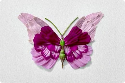 算命<strong>周易</strong>(八卦<strong>周易</strong>算命)