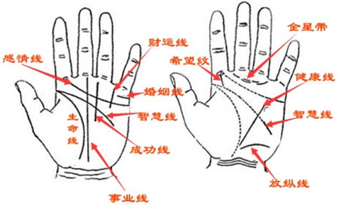 <strong>手相</strong>图解<strong>手相</strong>男怎么看 <strong>手相</strong>图解大全男