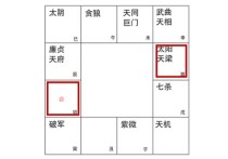 紫微命盘中命宫无主星借对宫太阳天梁详解