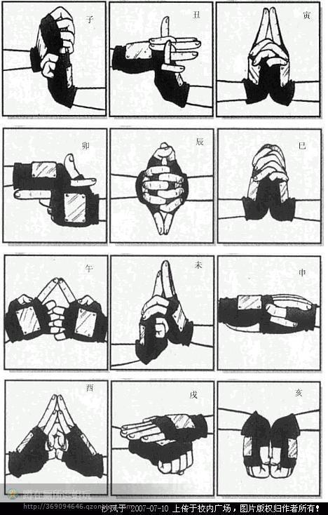 1989年大林木是土蛇还木蛇人呢