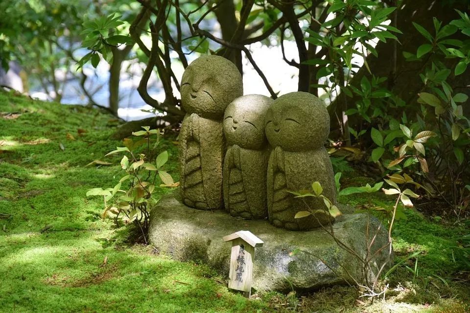 <strong>风水</strong>不是无稽之谈？央视新闻报道<strong>风水</strong>存在？美国研究证实<strong>风水</strong>存在？