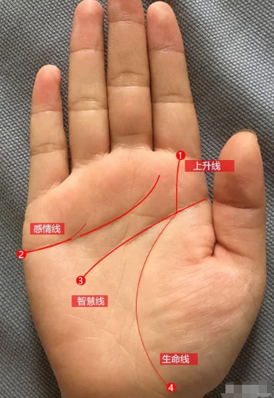 手纹<strong>算命</strong> 手掌纹看相<strong>算命</strong>