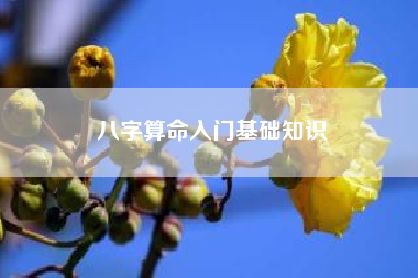 <strong>八字</strong>算命入门基础知识!<strong>八字</strong>初学者怎样看<strong>八字</strong>，如何看<strong>八字</strong>