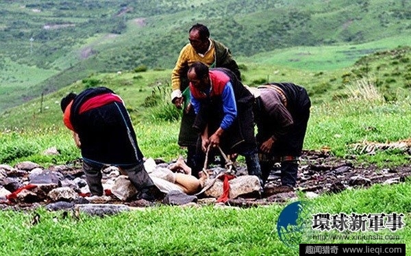 西藏人大审议通过关于拟定天葬打点条例的议案天逸静园玫瑰园