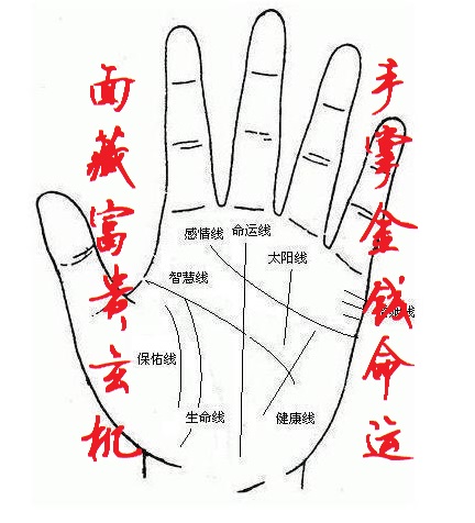 五官看相<strong>算命</strong>大全(五官看面相<strong>算命</strong>图解)