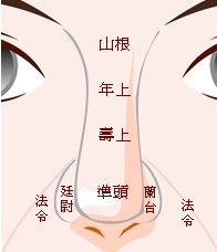 鼻子面相（14种鼻型图解）