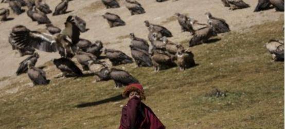 西藏的天葬是怎么回事？