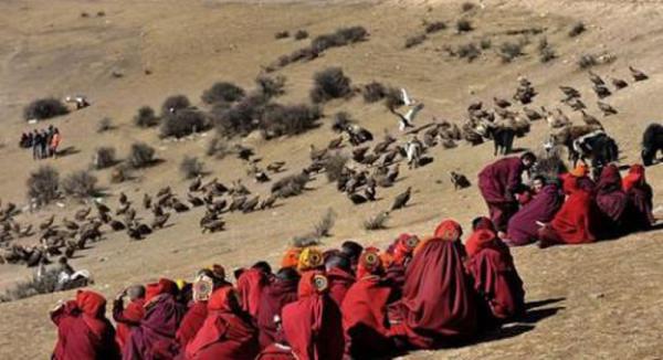 西藏天葬_色达喇荣五明佛学院天葬_西藏为什么要天葬
