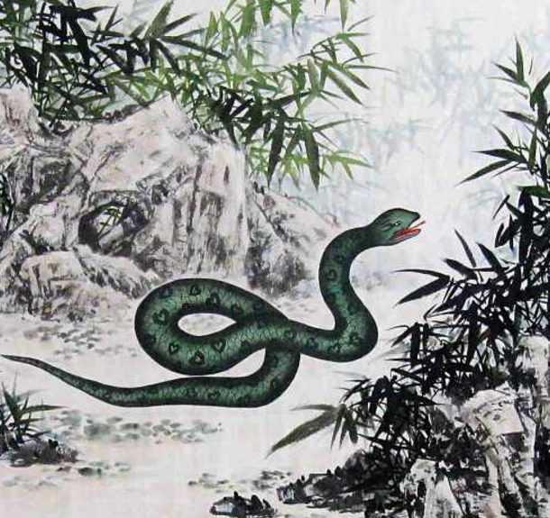 “最苦命”和“最好命”的属蛇人皆出生在几月呢？