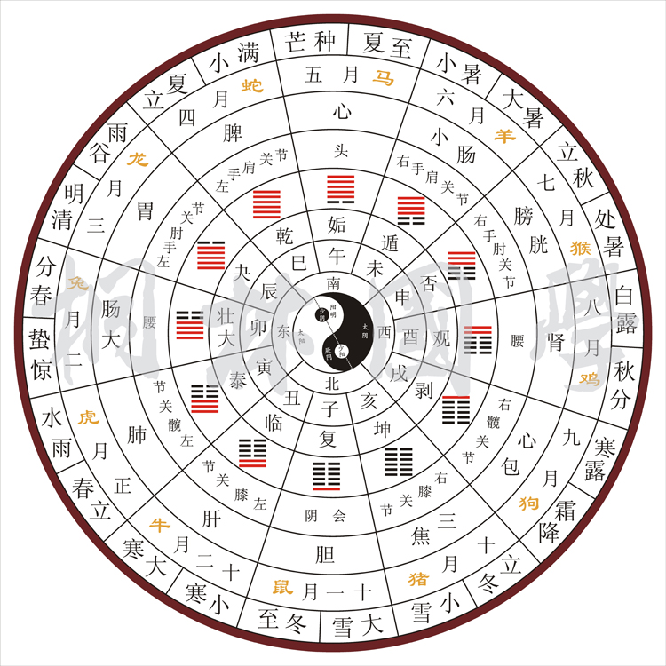 <strong>八卦</strong>的形成过程，先天<strong>八卦</strong>发展的八个阶段