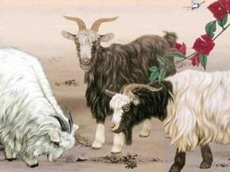 “羊羊羊”的晚年宿命：67年、79年出生的人，一定要提前知道！