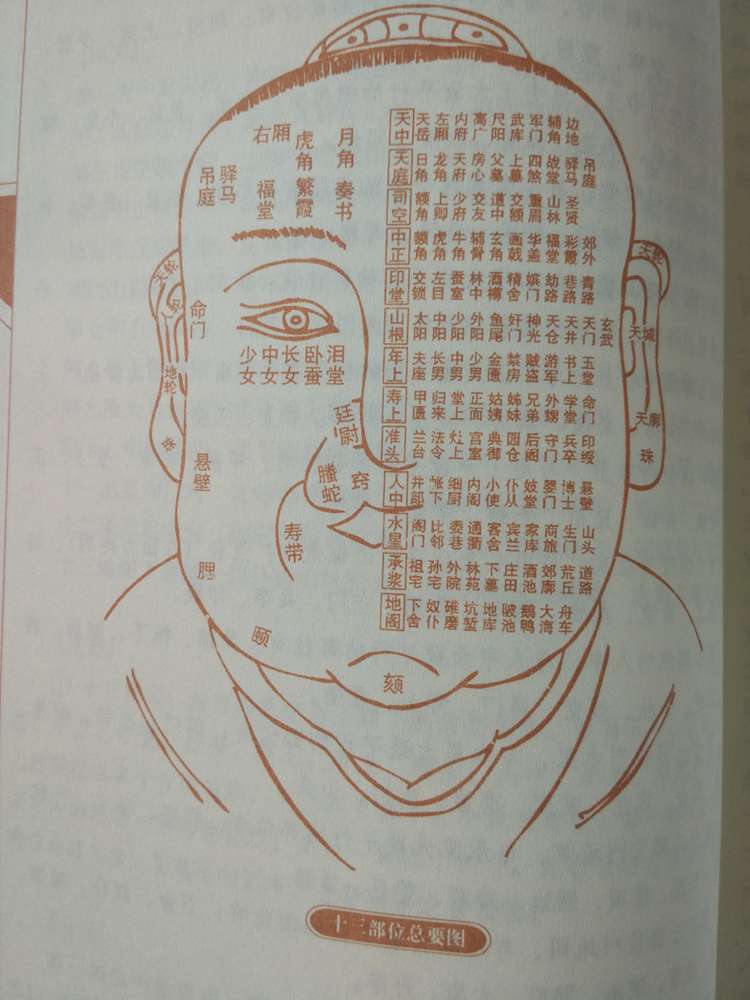 相面书籍入门 面<strong>相学</strong>学习书籍