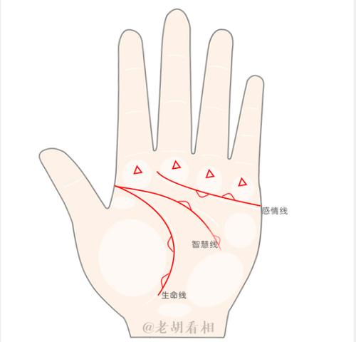 相面书籍入门 面<strong>相学</strong>学习书籍
