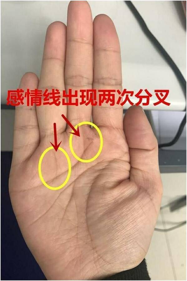 测<strong>手相</strong> 男人的左手的<strong>手相</strong>图解