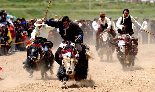回族,藏族,纳西族的传统节日