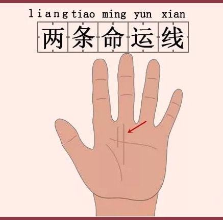 从<strong>手相</strong>看命运，这些<strong>手相</strong>的人命运不好