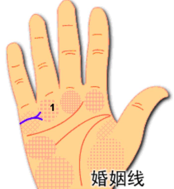 手相算命感情婚姻图解_手相感情线与手指根部间有条线_手相感情线