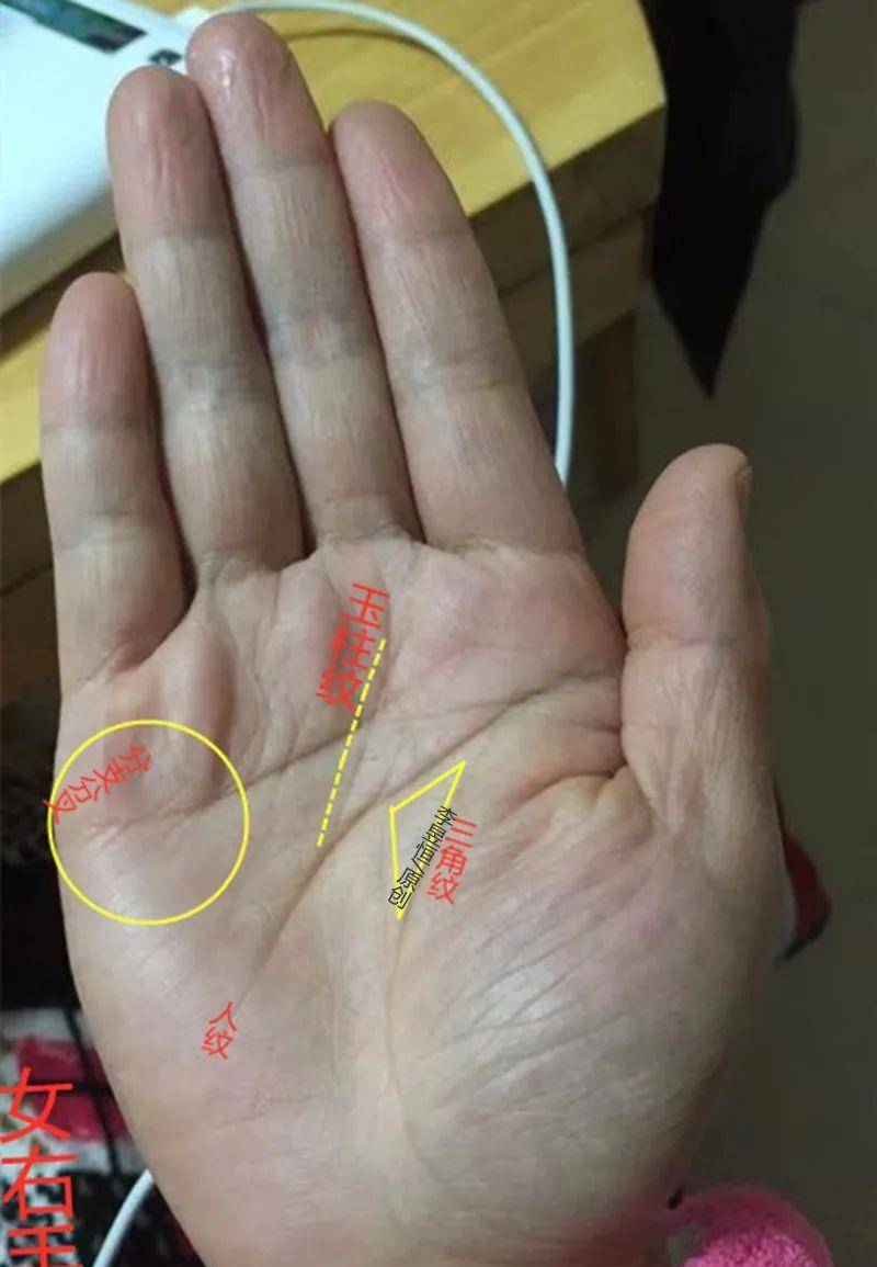 手心掌纹有个三角形意味着什么呢