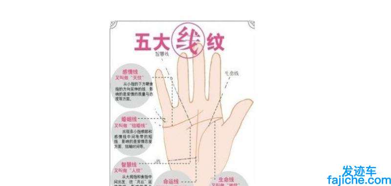 掌纹的秘密全图解的含义介绍(手相图解大全)(图3)
