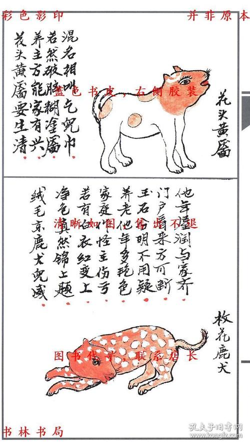 男生<strong>手相</strong>婚姻线分叉 <strong>手相</strong>感情线分叉