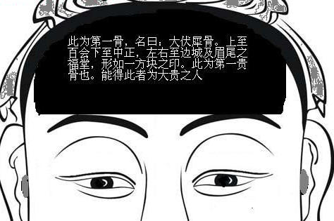 骨<strong>相学</strong>：伏羲骨面相图解