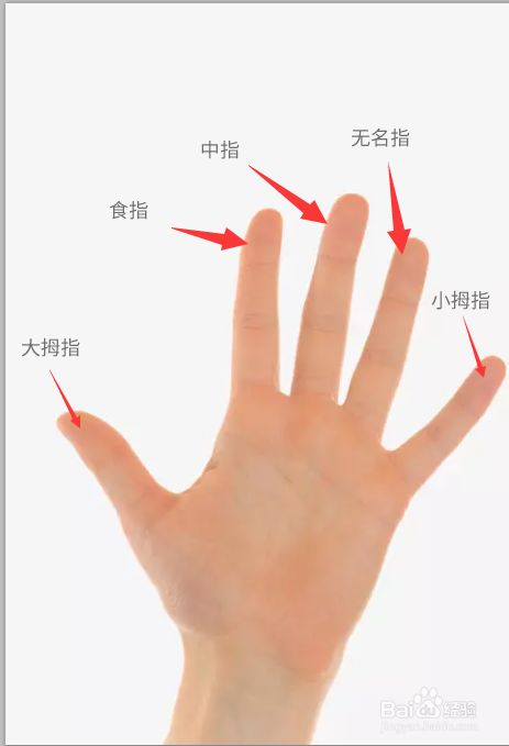 食指接指手术_无名指比食指长_女性的无名指长比食指长