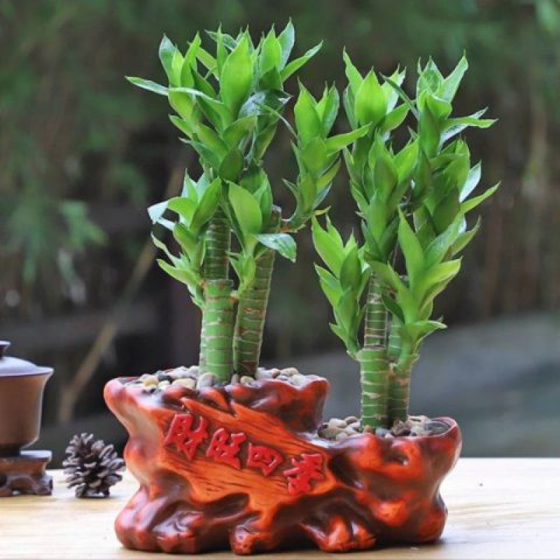 中彩票前人会很不顺发财前的征兆解析