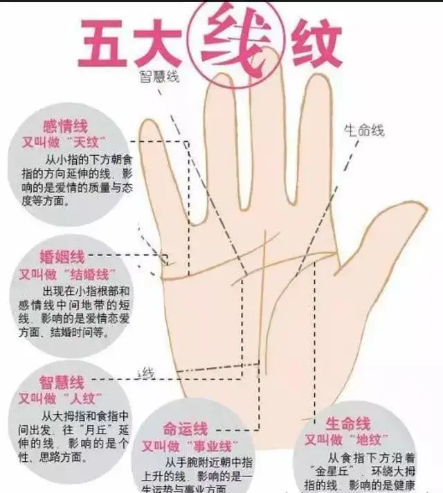 土命分6种哪种水命最好_9种手纹的女人命好_看手纹知健康24种病手诊