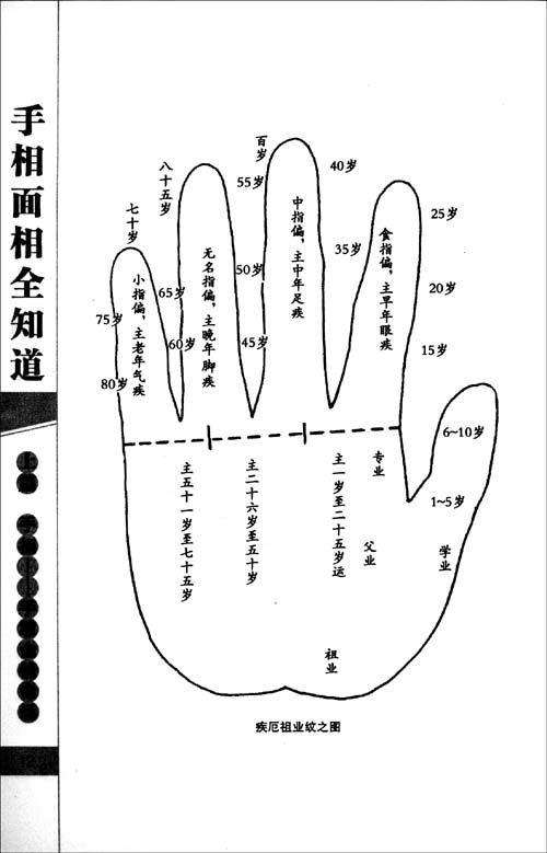 男人的左手的手相图解感情线 婚姻线左手右手不一样