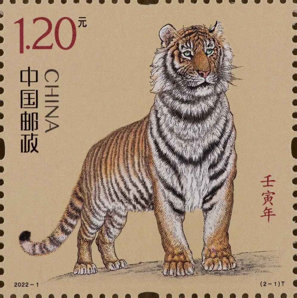 开始预约！2022年虎年生肖邮票！