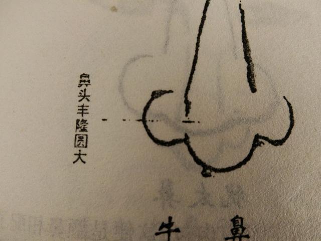 面<strong>相学</strong>：你有一个发财的鼻子吗？
